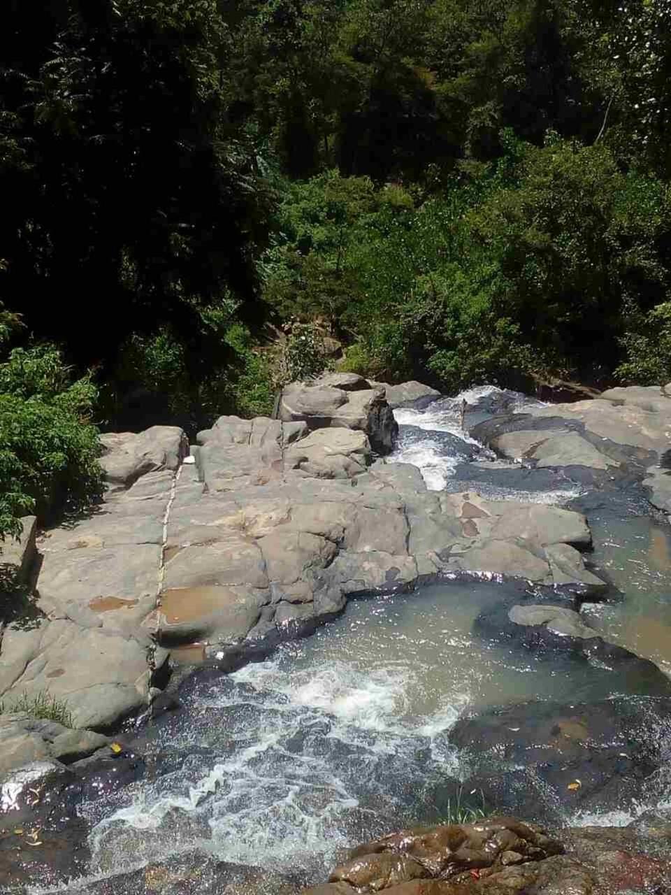 River Forest Nest 埃拉 外观 照片
