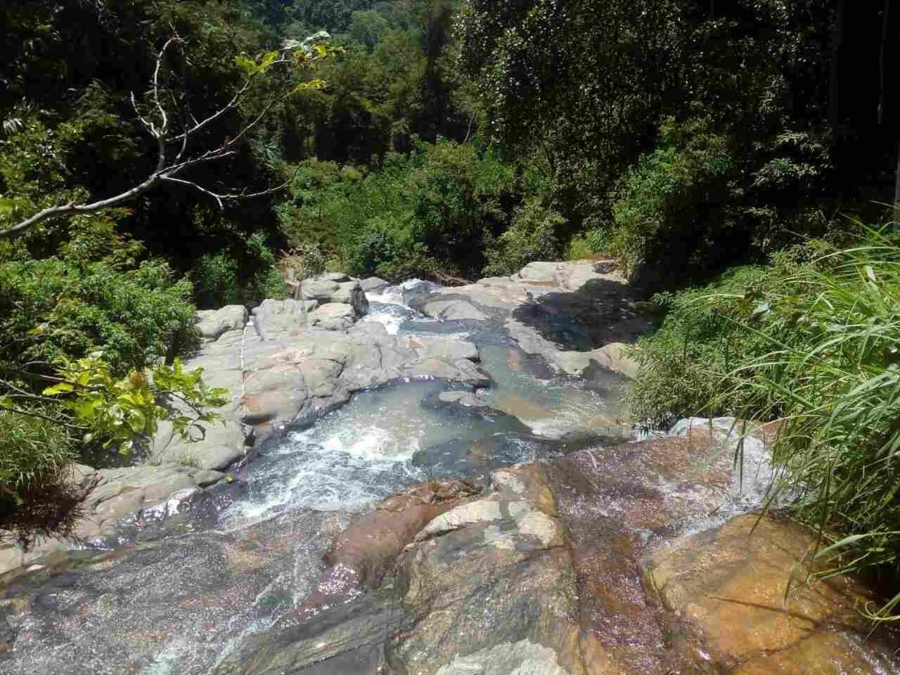 River Forest Nest 埃拉 外观 照片