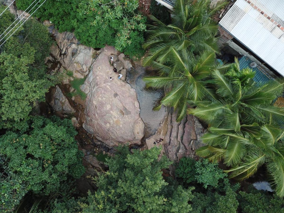 River Forest Nest 埃拉 外观 照片